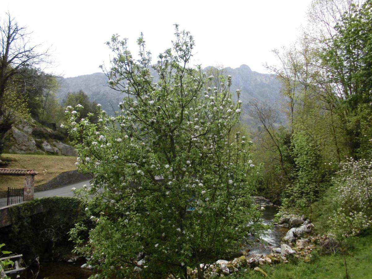 El Molino Otel Arenas De Cabrales Dış mekan fotoğraf