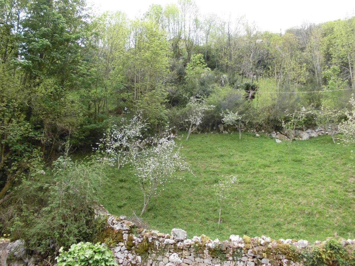 El Molino Otel Arenas De Cabrales Dış mekan fotoğraf