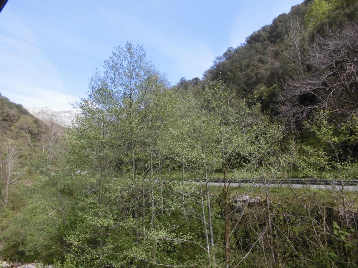 El Molino Otel Arenas De Cabrales Dış mekan fotoğraf