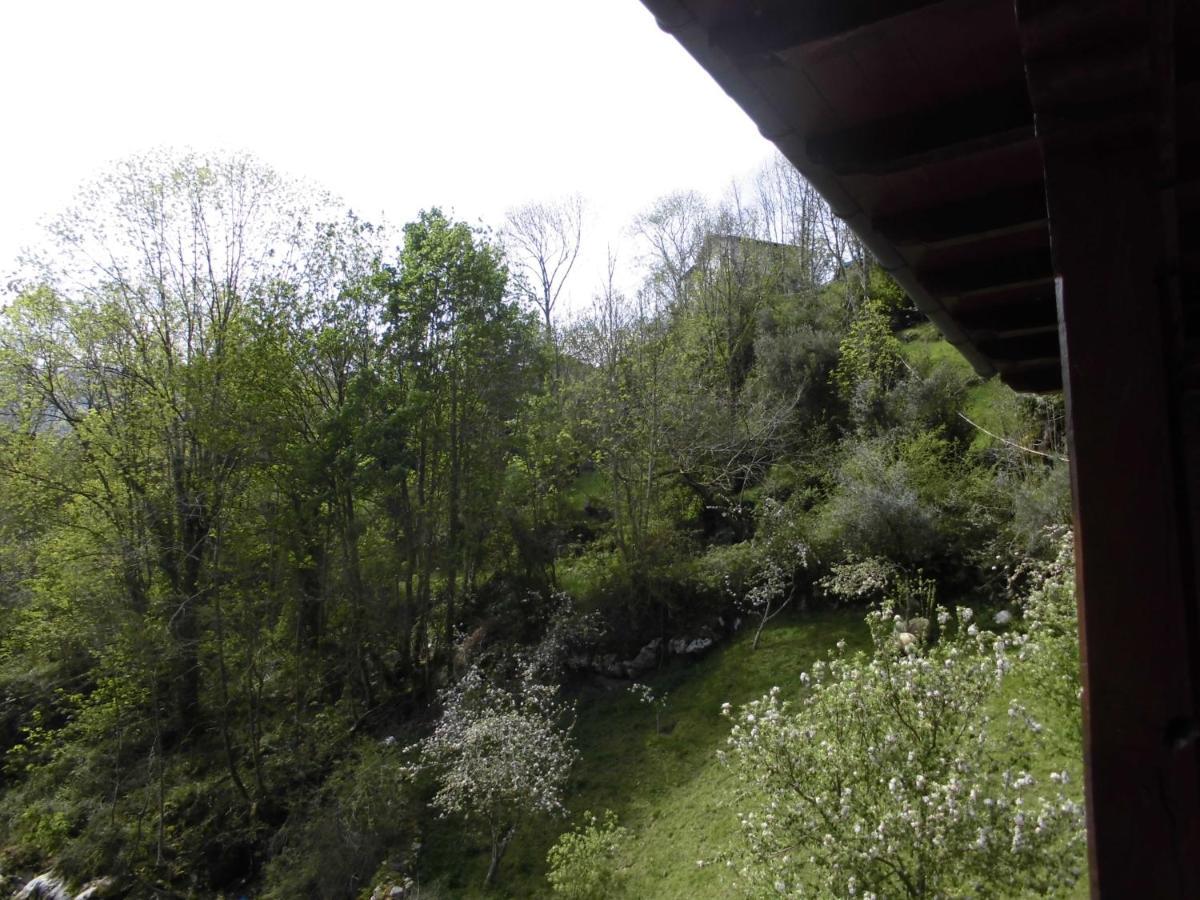 El Molino Otel Arenas De Cabrales Dış mekan fotoğraf